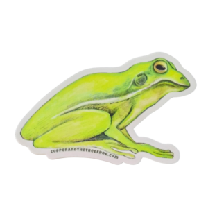 Riley the Tree Frog Sticker from the Copper and the Tree Frog Adventures