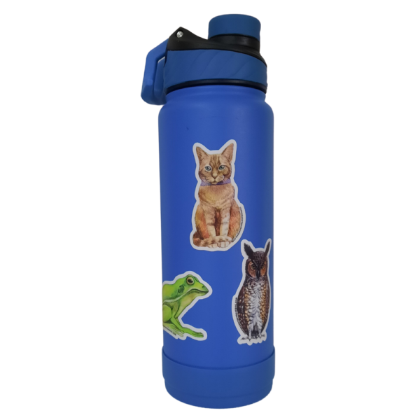 Copper and the Tree Frog stickers on water bottle